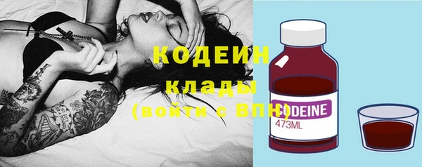 альфа пвп Новодвинск