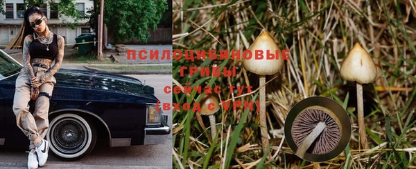 а пвп мука Гусиноозёрск