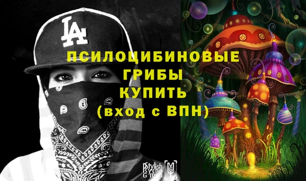 Альфа ПВП Новозыбков