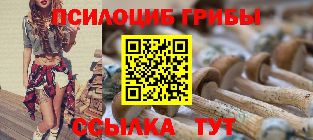 Галлюциногенные грибы прущие грибы Зеленодольск