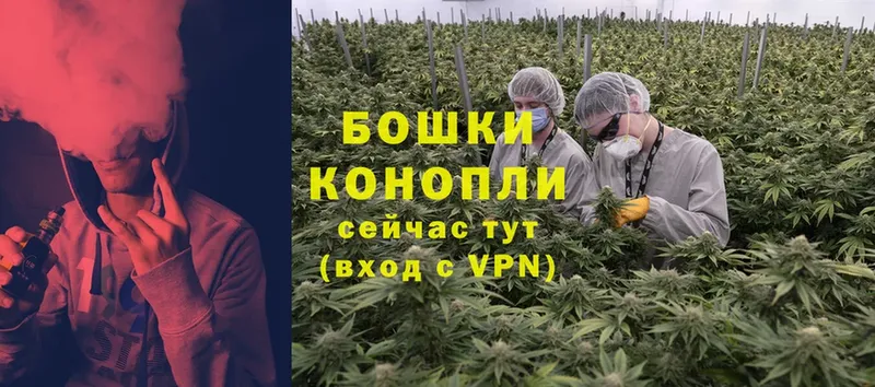 закладки  Зеленодольск  Конопля OG Kush 